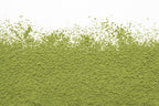 Matcha Kurogi - Grade cérémonial - LIFT Nutrition