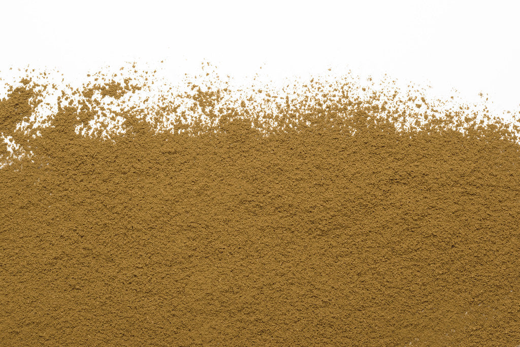 Hojicha latté biologique