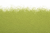 Matcha Barista